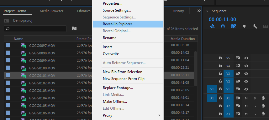 Reveal in Explorer shows where the asset is on your computer