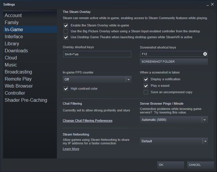 steam ingame settings