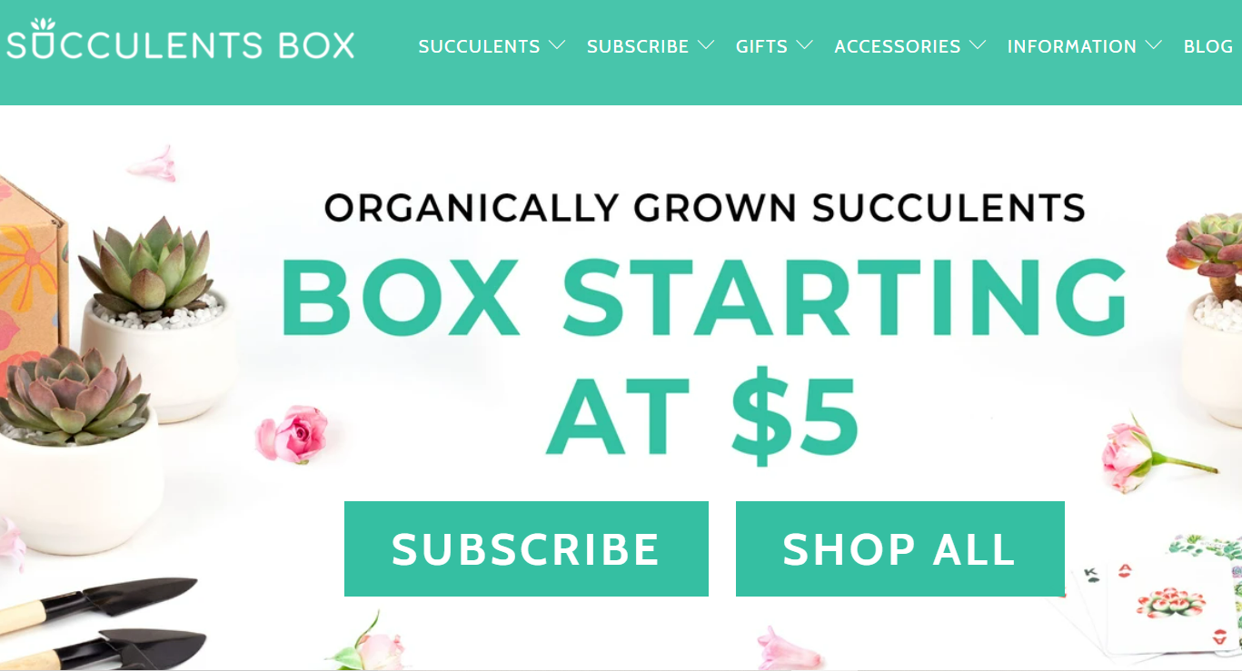 succulents box