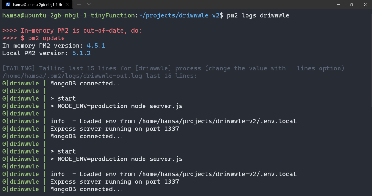 So installieren und konfigurieren Sie PM2 auf Linux-Servern - viewing logs on pm2