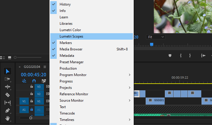 How to display scopes in Premiere Pro.