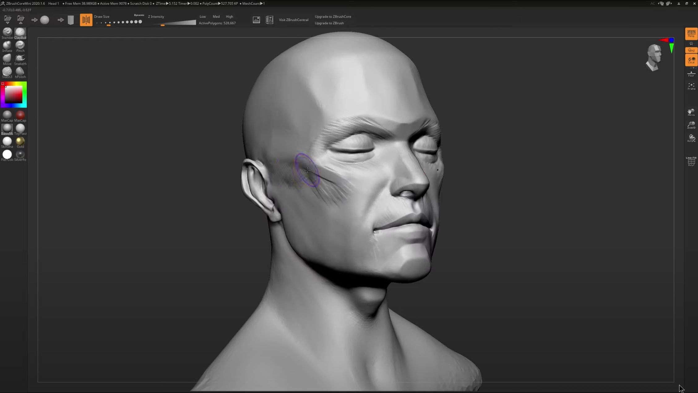 Designing a human face in ZBrushCoreMini