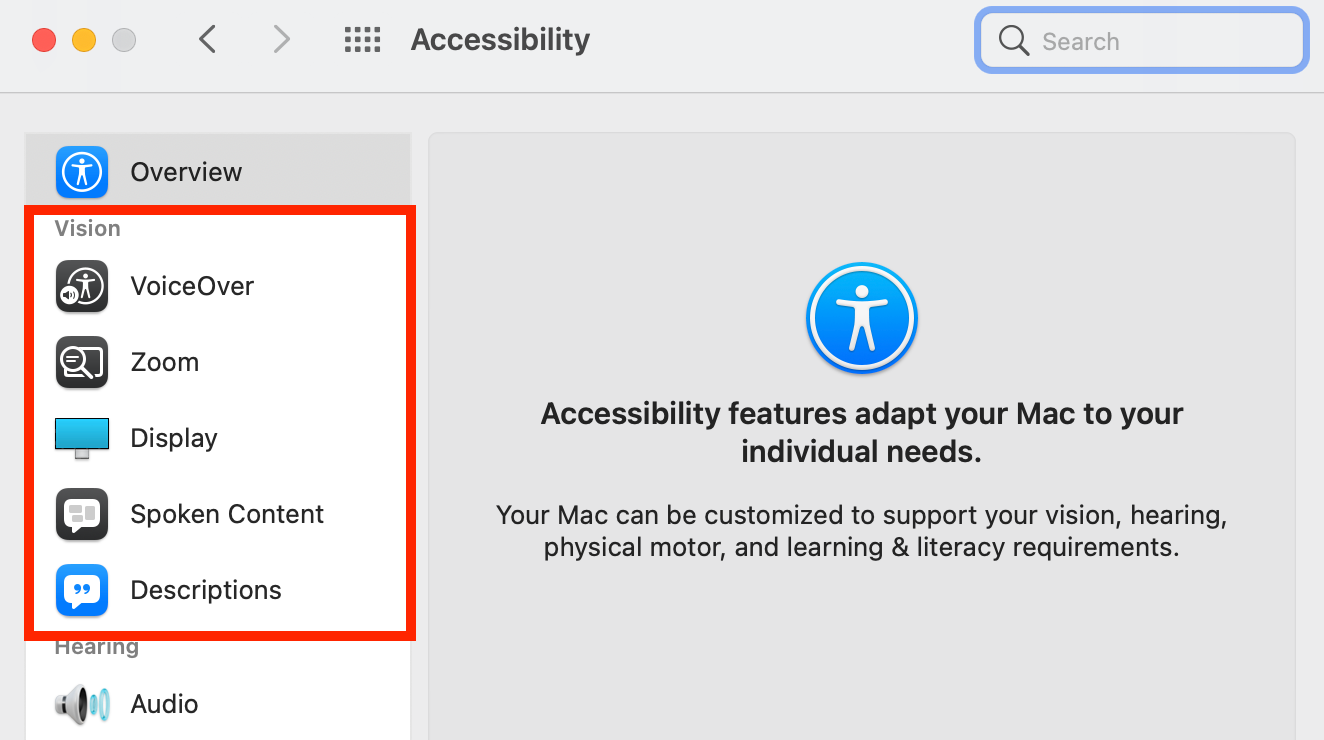 Accessibility Features for Vison on Mac
