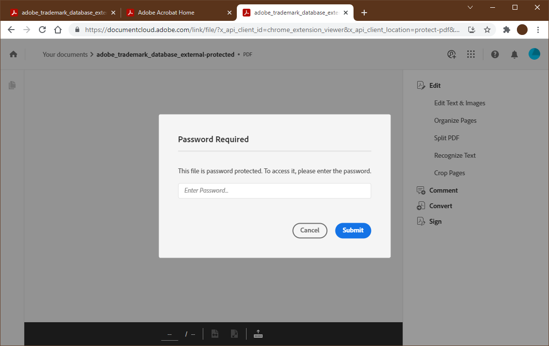 An Adobe Acrobat PDF with password protection