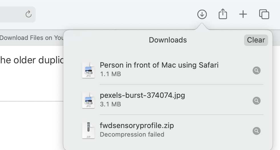 Downloads List on Safari