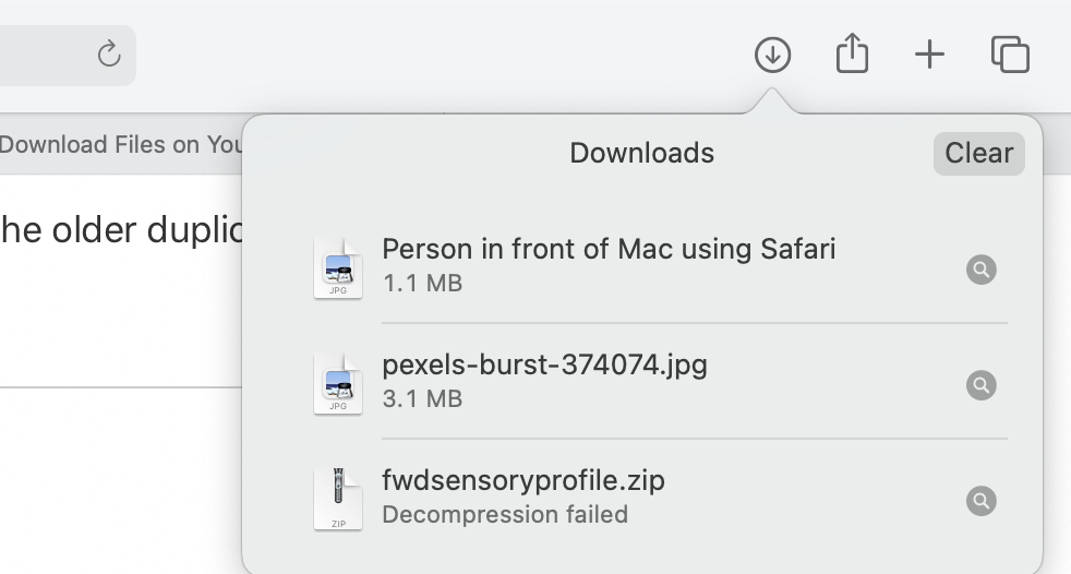 Wo finde ich heruntergeladene Dateien in Safari auf einem Mac und wie man sie verwaltet - Downloads List on Safar