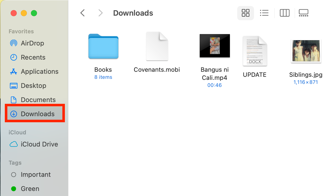 downloads folder in safari