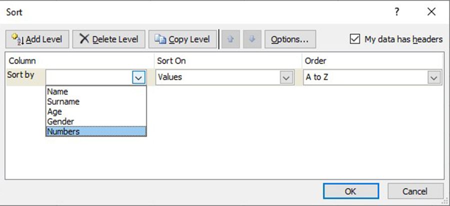 Excel sorting options