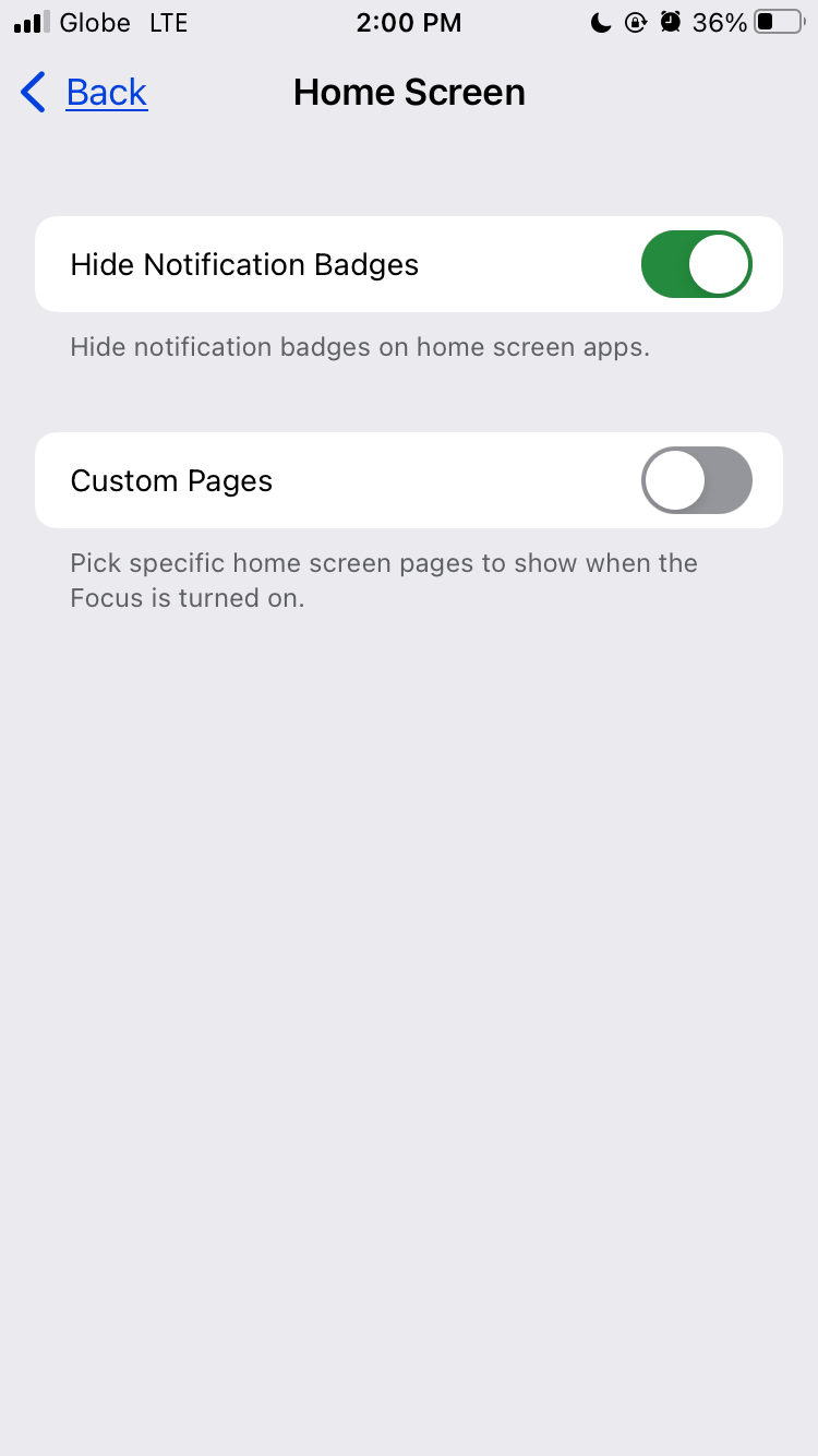 Apple Home Screen Badge