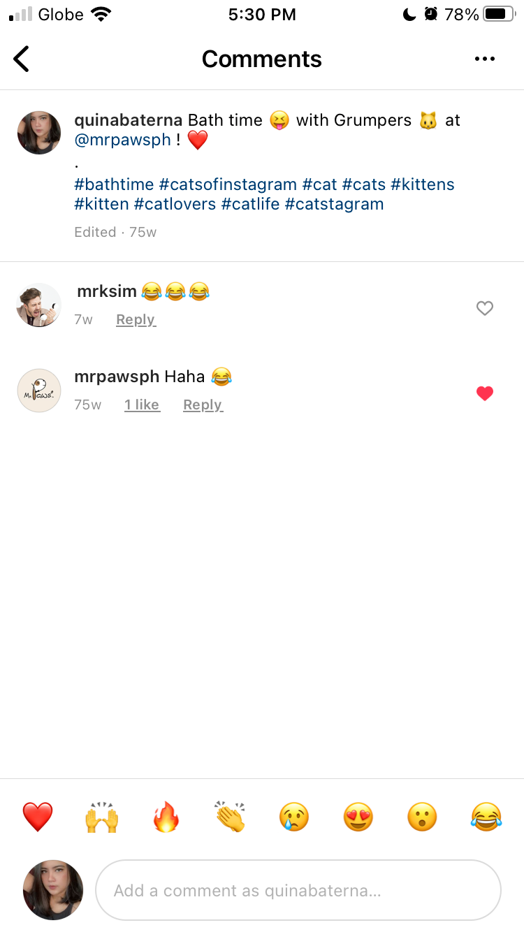 Instagram Account Comment
