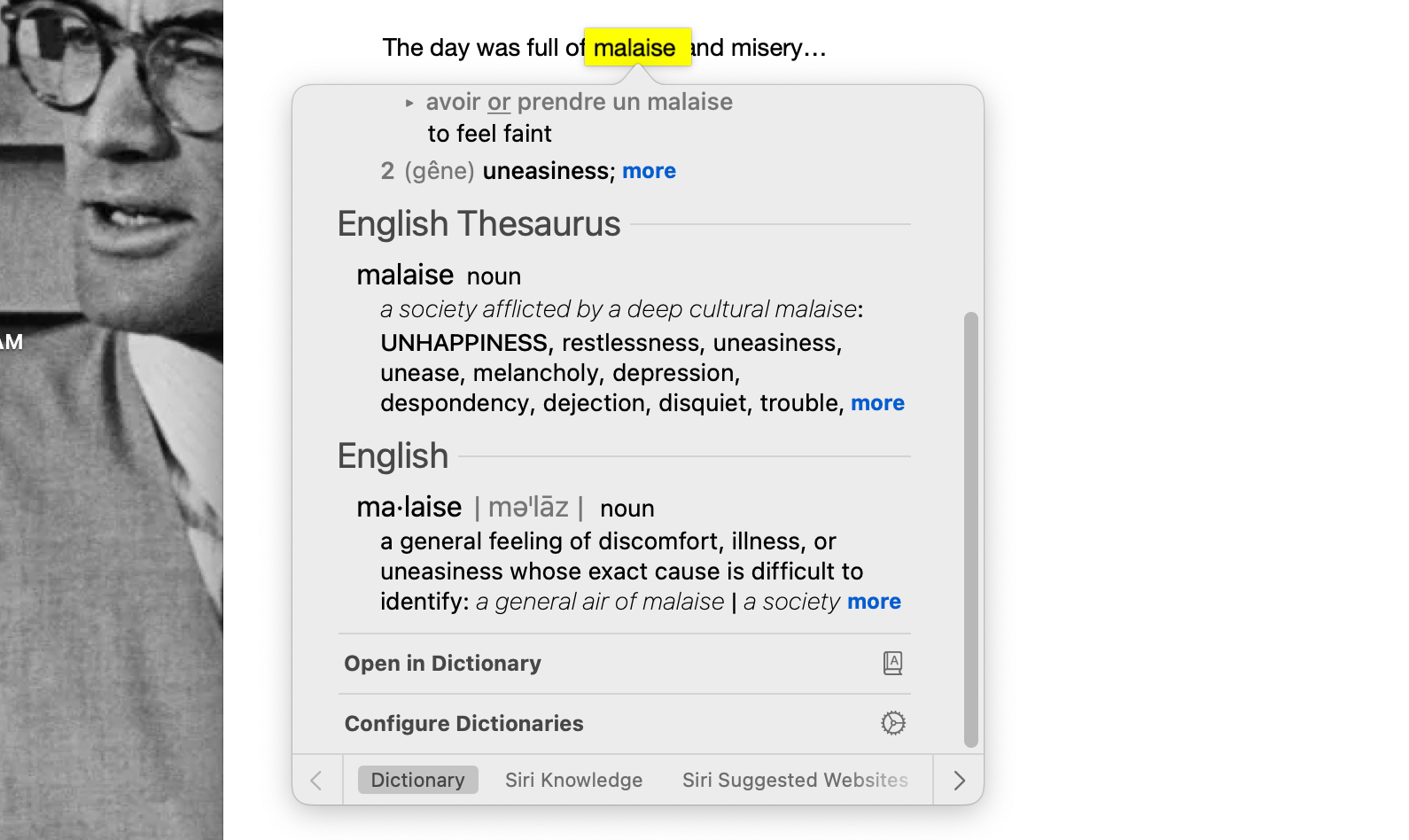 Look Up feature used to bring up Dictionary definitions of a word on a Mac