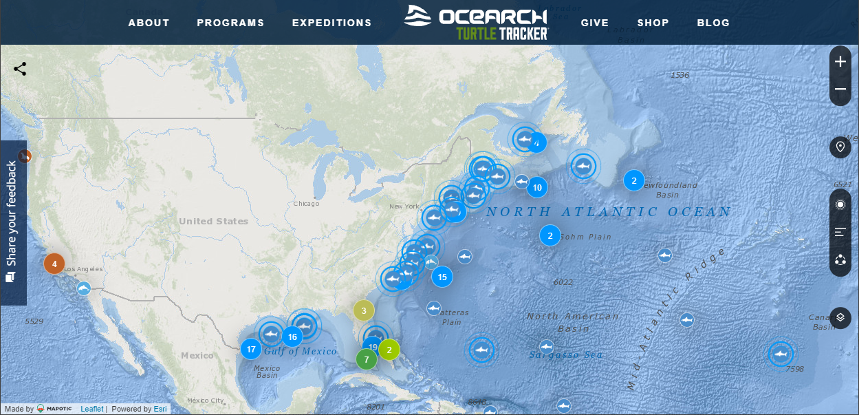 A Screenshot Of OCEARCH Shark Tracker's Landing Page