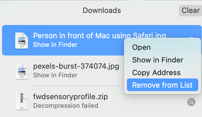 Remove Download from List on Safari