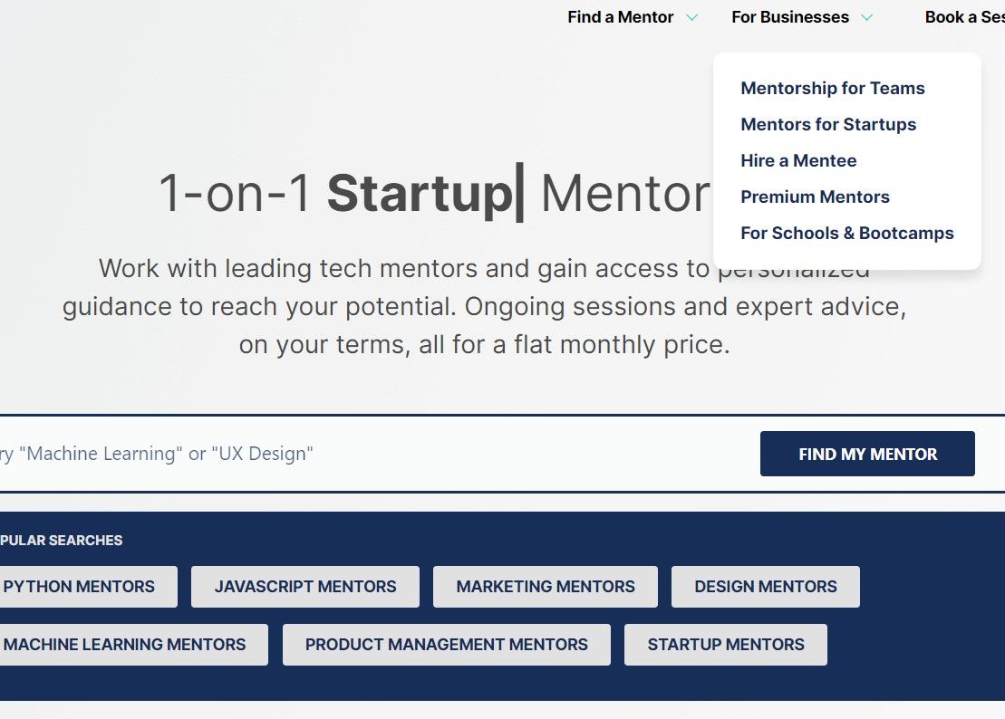 Screenshot of mentor cruise website
