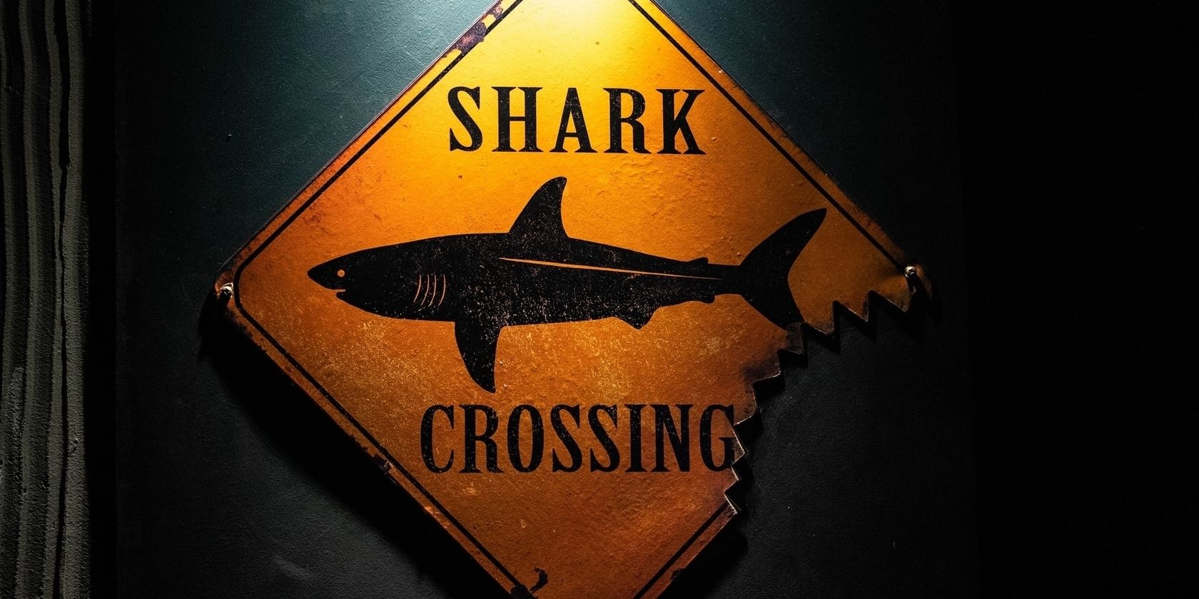 Shark-crossing-warning-sign