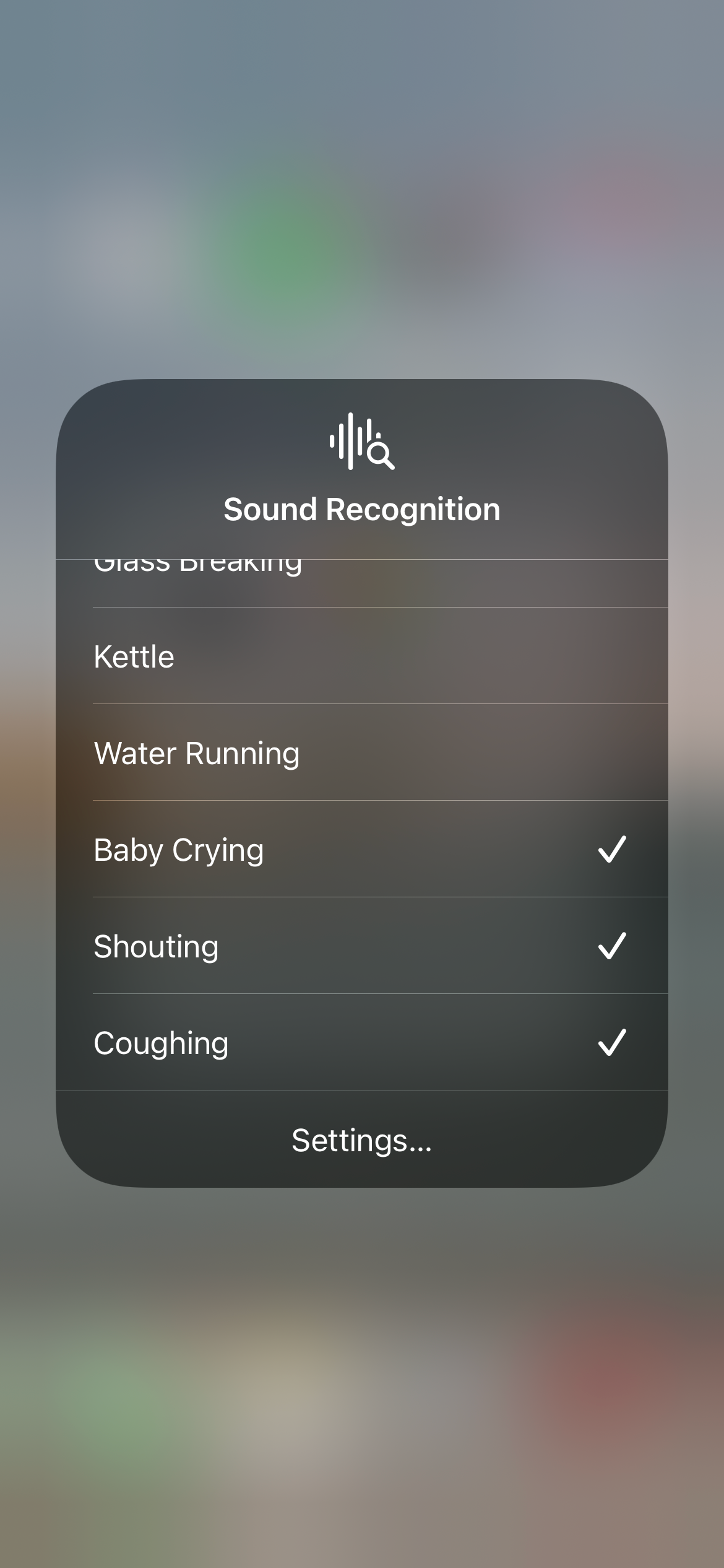 Sound Recognition Options