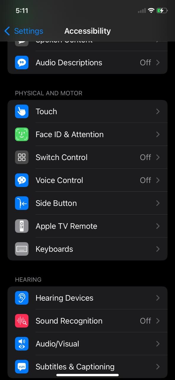 how to set up voice control on iOS