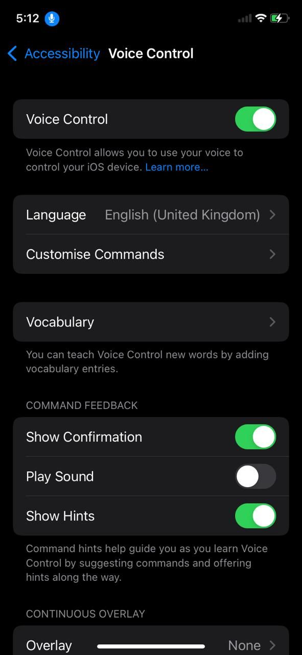 voice control in iOS