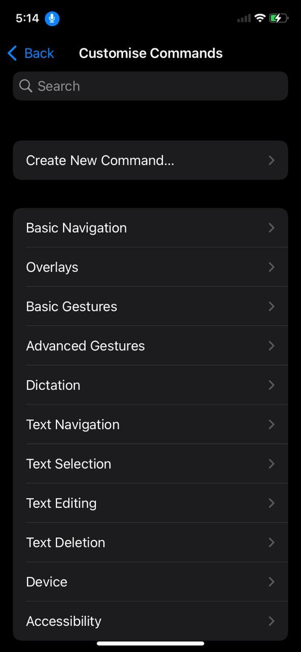 custom voice commands on iPhone