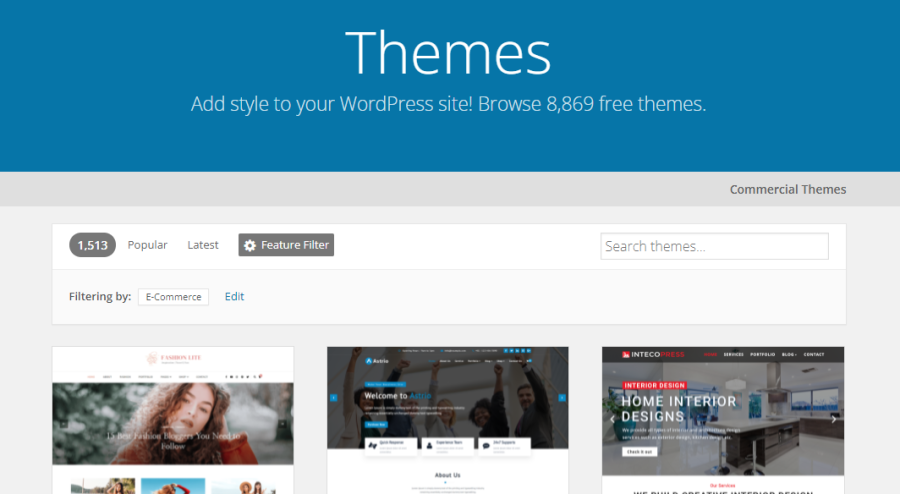 WordPress ecommerce themes