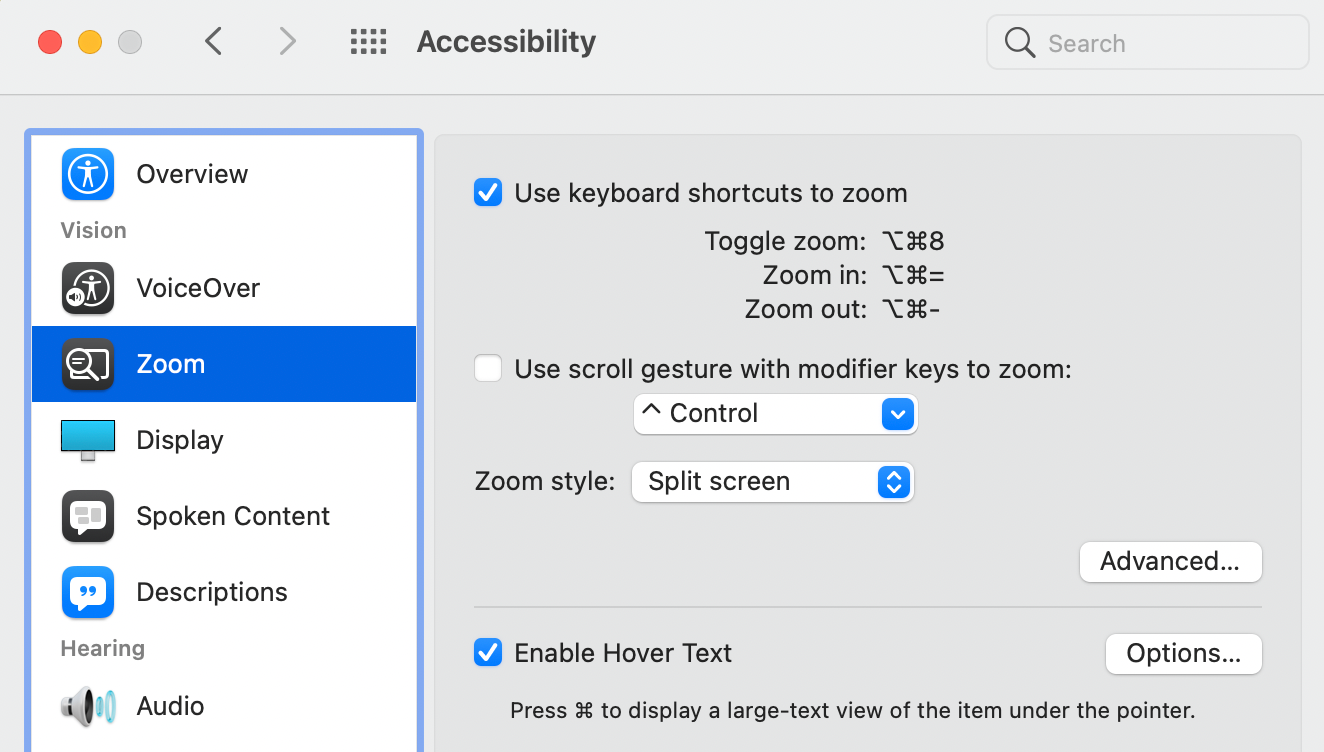 Zoom Accessibility Features