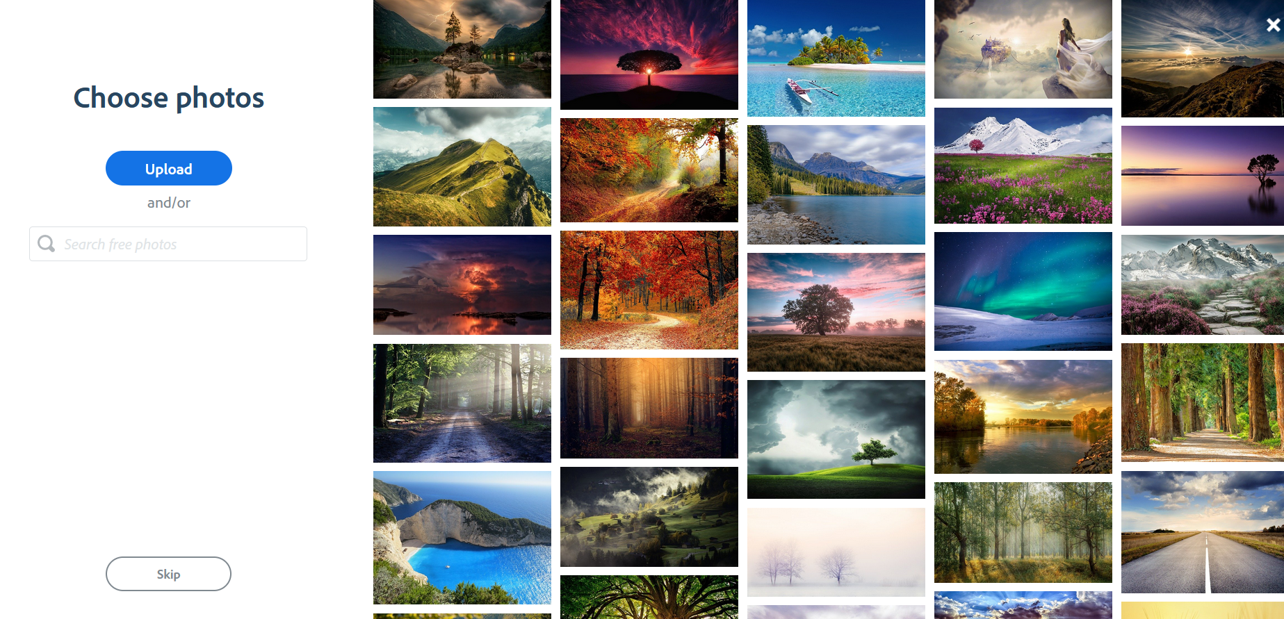 Adobe Spark Choosing Photos for Collage