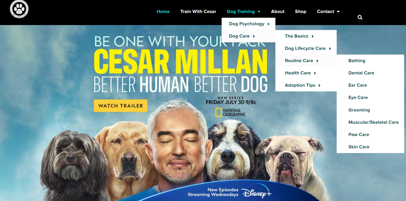 CesarsWay Website Dog Training Resources
