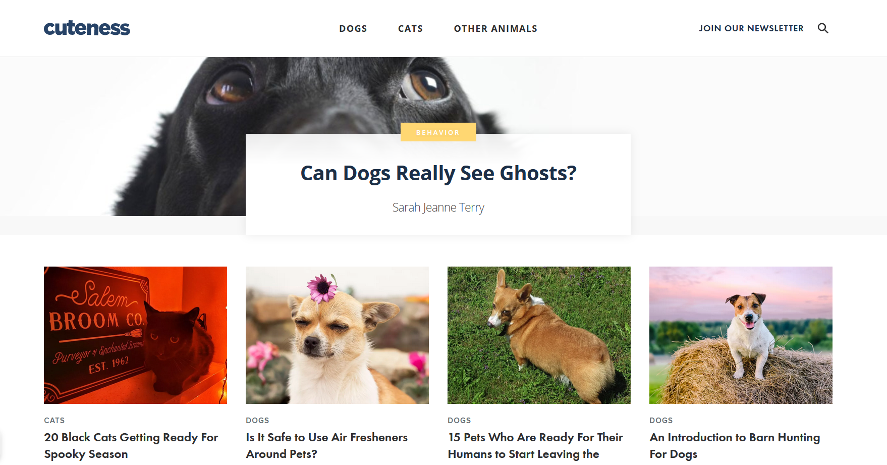 Cuteness Website for Pet Lovers