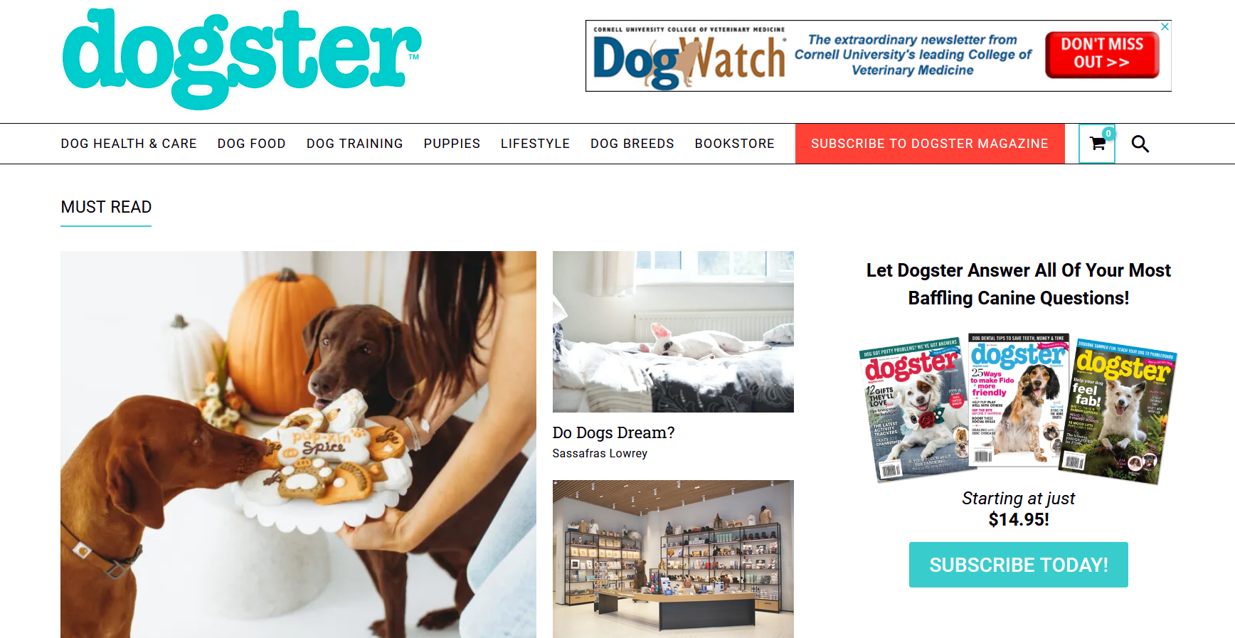 Dogster Website for Dog Owners