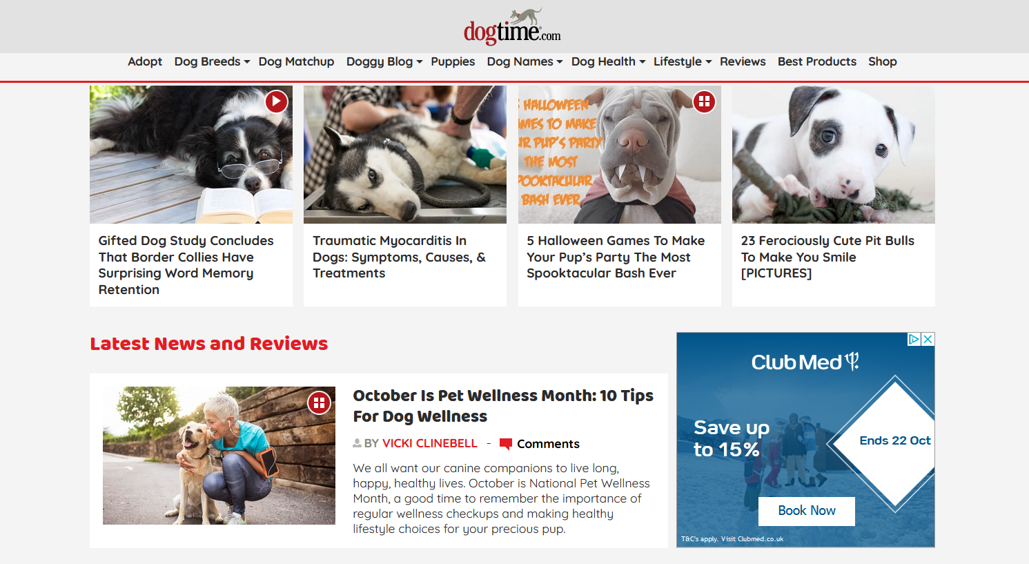 DogTime Website for Pet Lovers