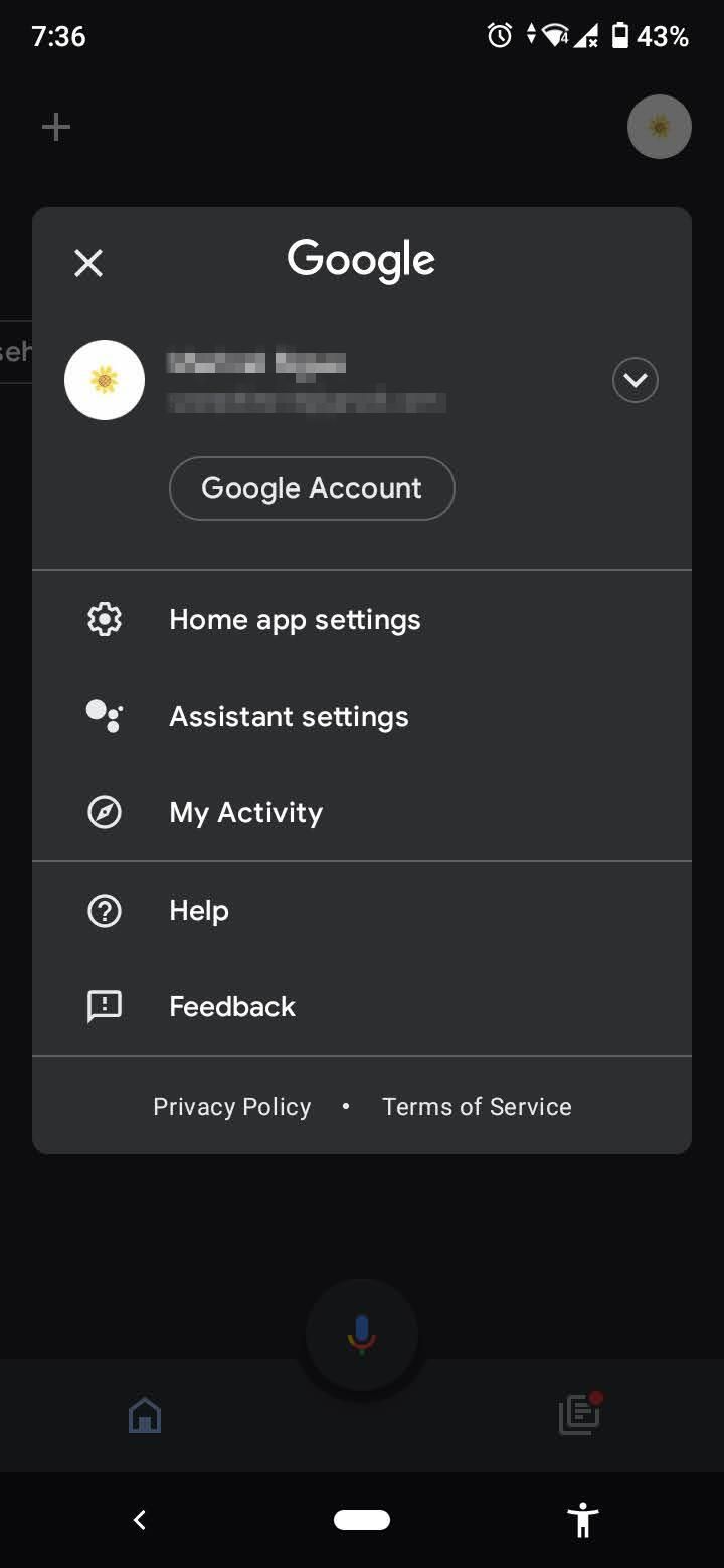 profile on google home app