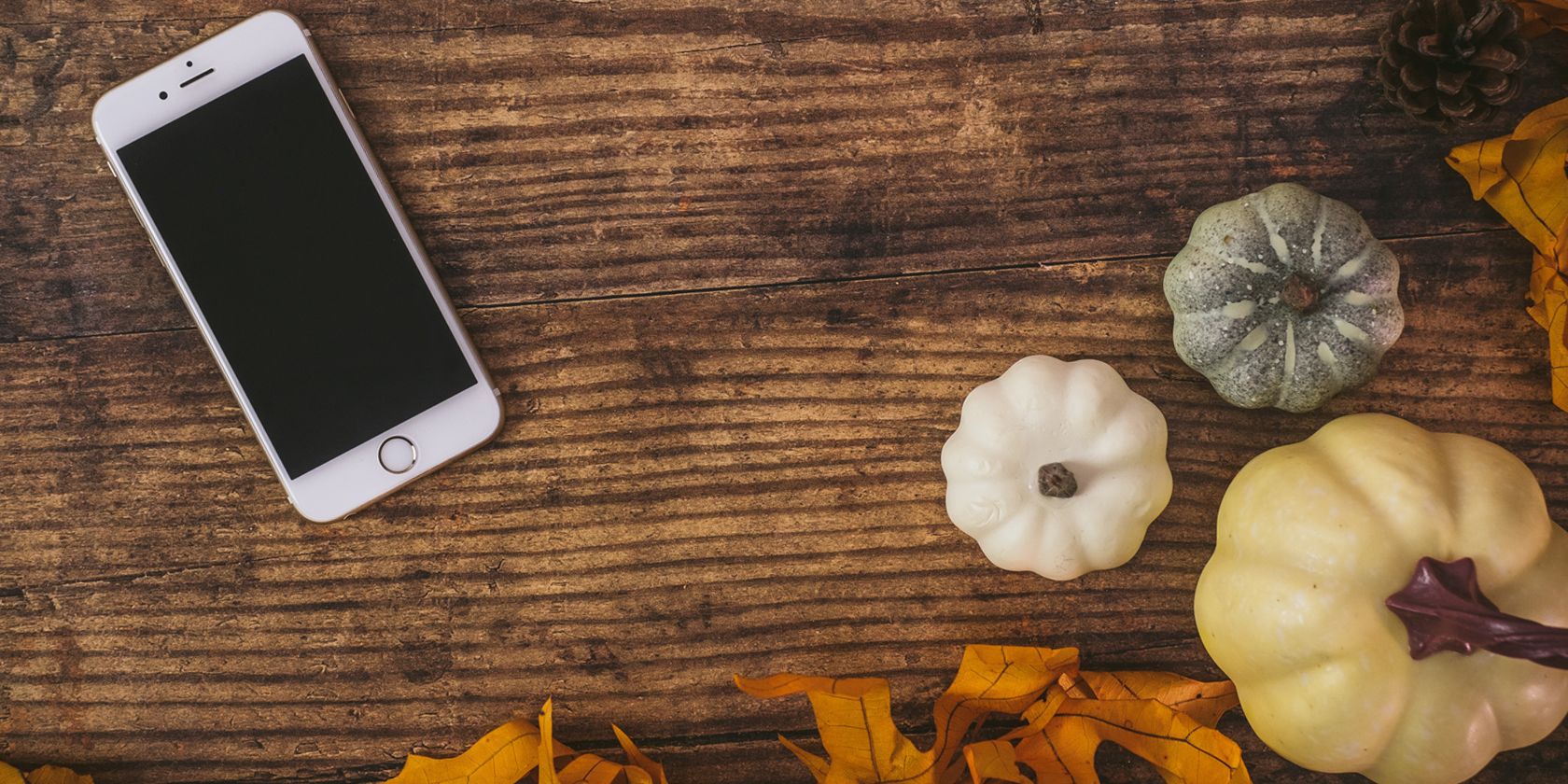 iPhone on wooden table, with small pumpkins and brown leaves nearby 