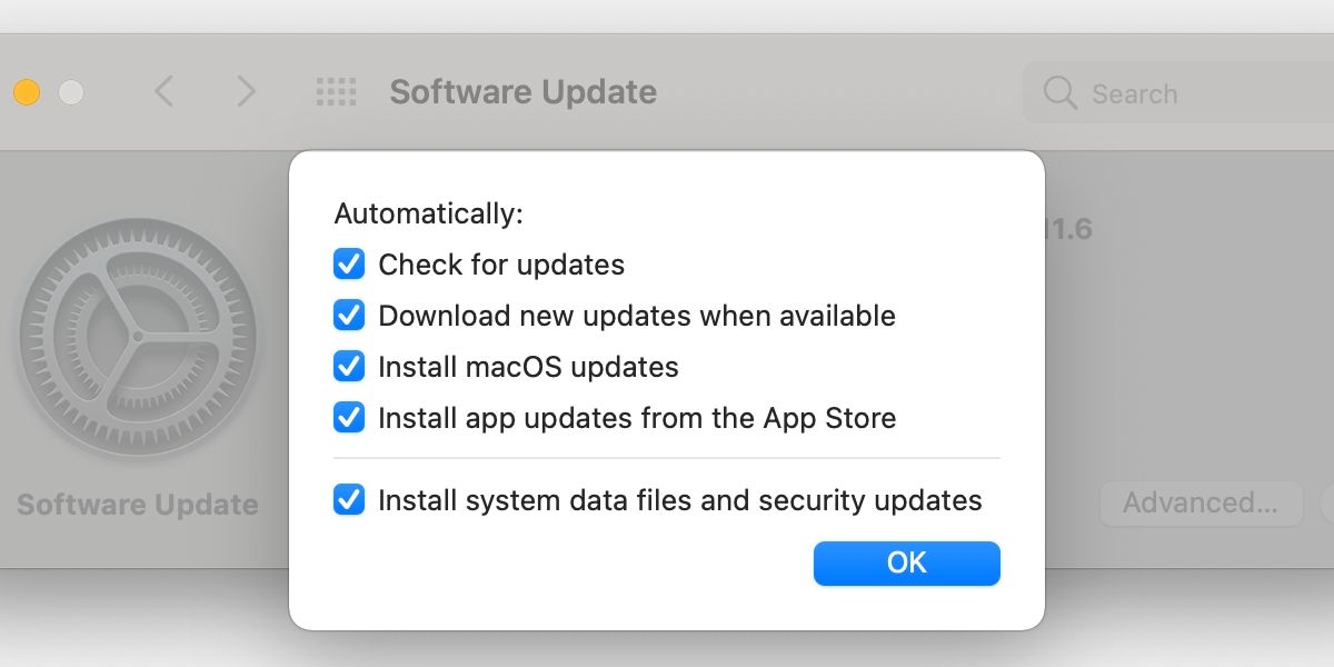 macOS advanced software update preferences window.