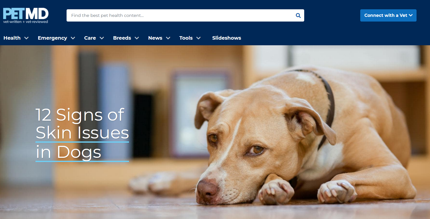 PetMD Website for Pet Healthcare
