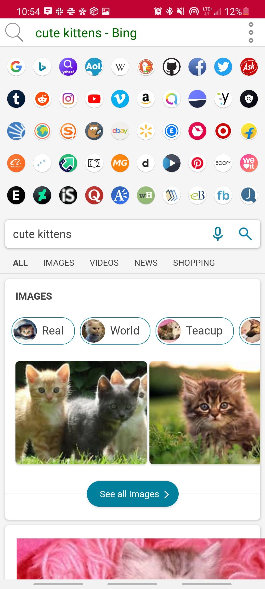 search it app showing cute kittens bing search and all other available search engines