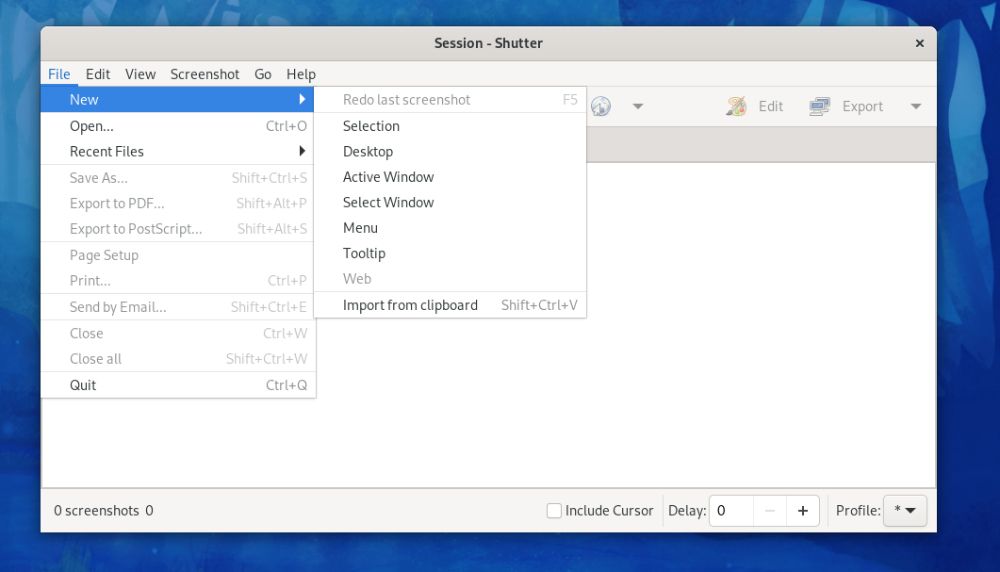 shutter screenshot options