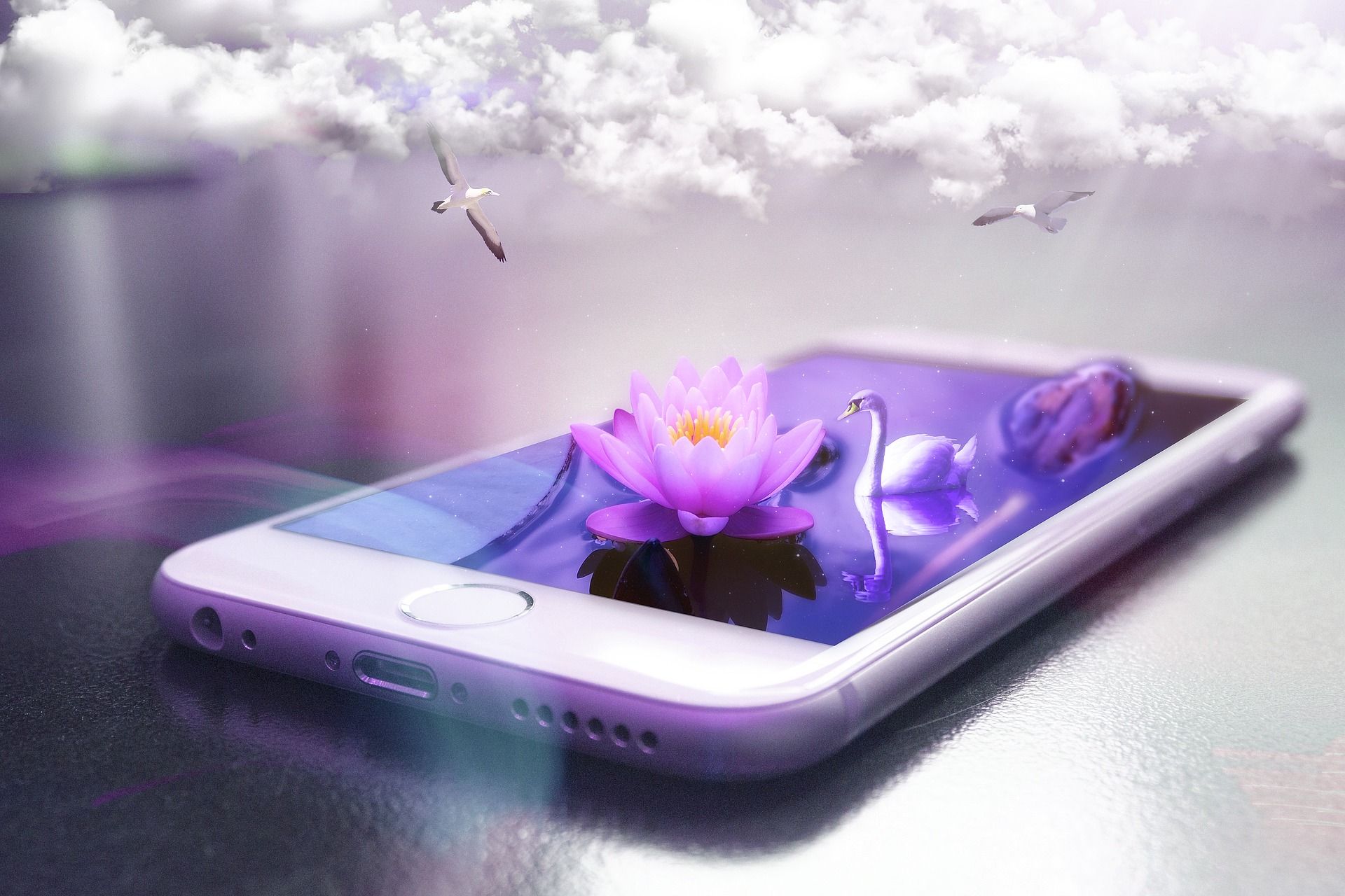 white smartphone with swan and flowers on table