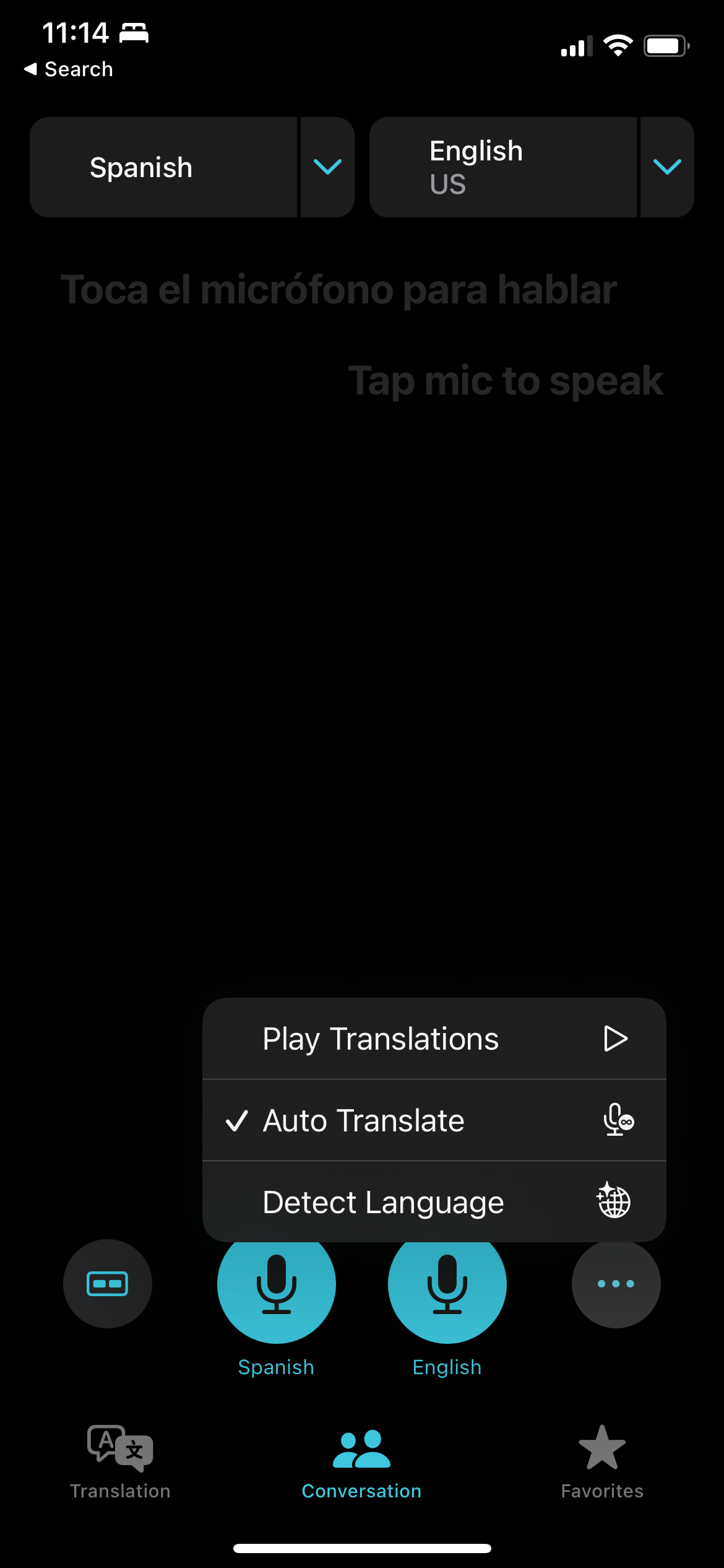Auto Translate Option in Translate App on iPhone