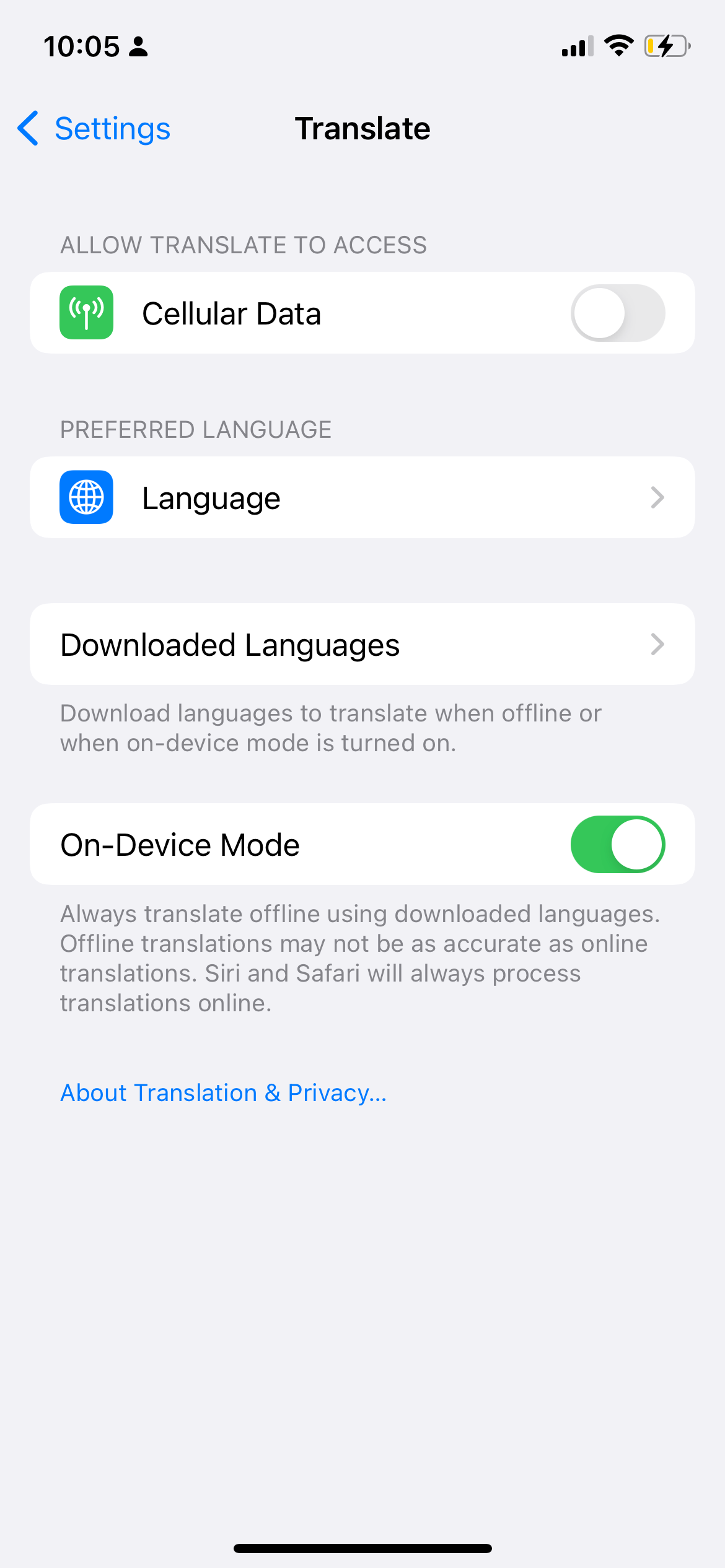 Downloaded Language on Translate