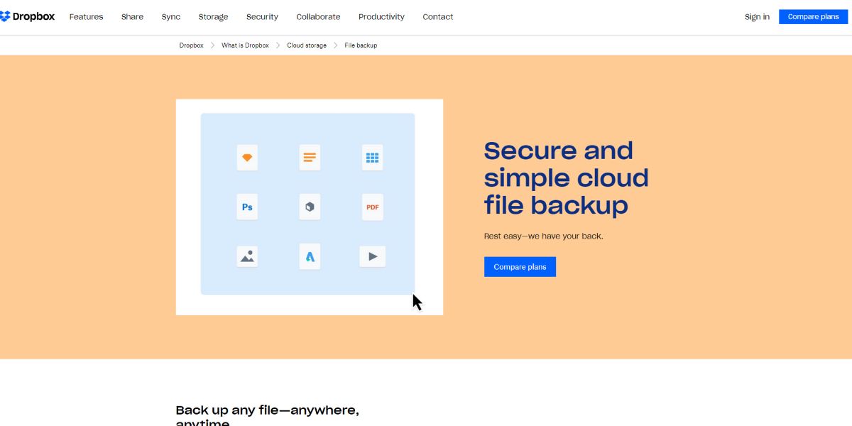 A visual showing the Dropbox's backup features