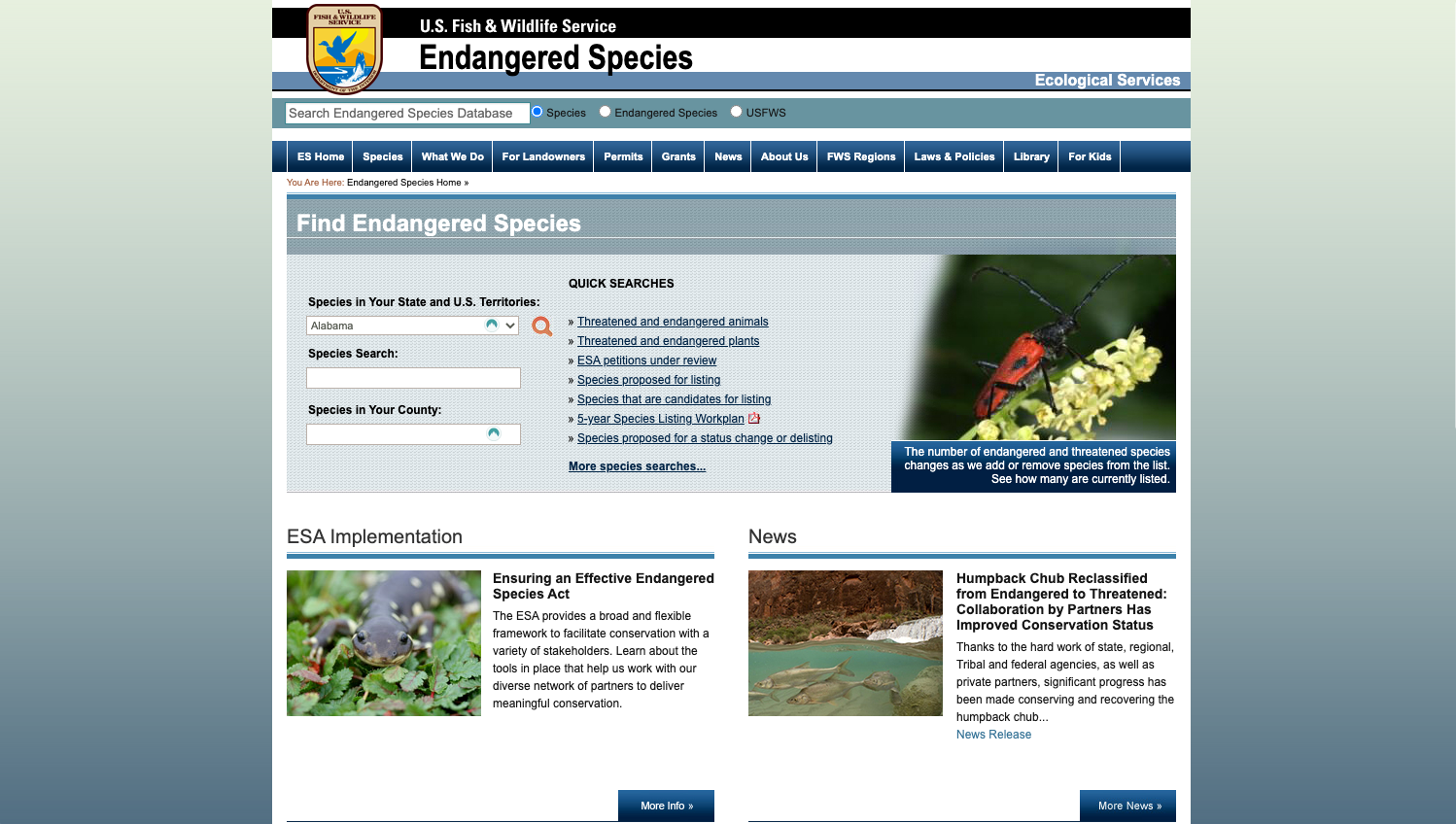Website layout for an endangered species website with photos of animals.