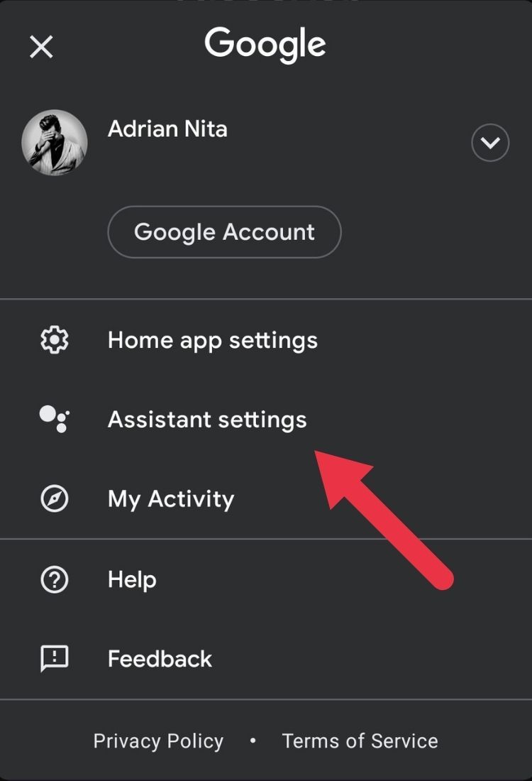 Google Home Assistant Settings
