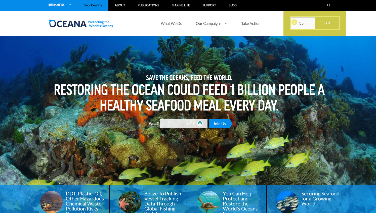 Website layout showcasing sea life.