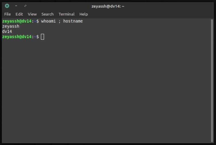 running multiple terminal commands using semicolon