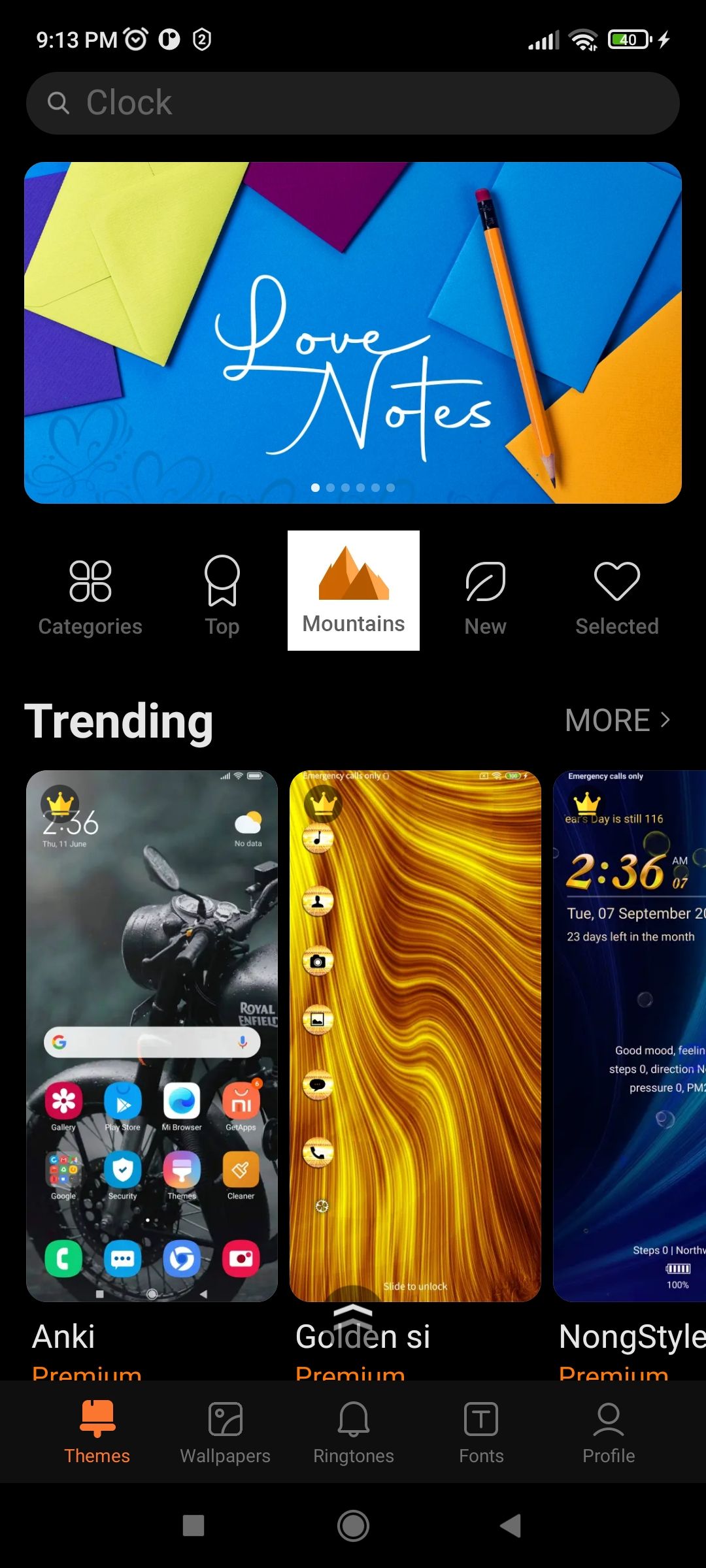 Selecting-Profile-in Home Screen of Xiaomi Themes App