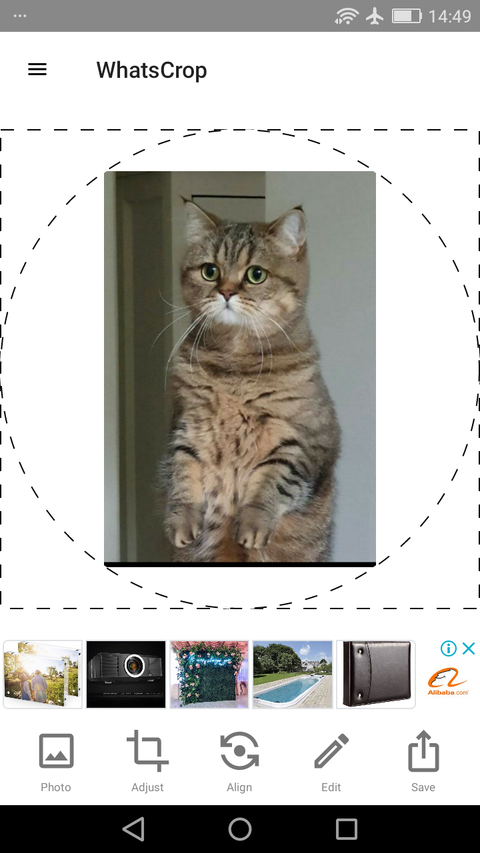 واتساپ خود را با این 10 اپلیکیشن اندرویدی بهتر کنید 25 WhatsCrop Main.png?q=50&fit=crop&w=480&dpr=1 -