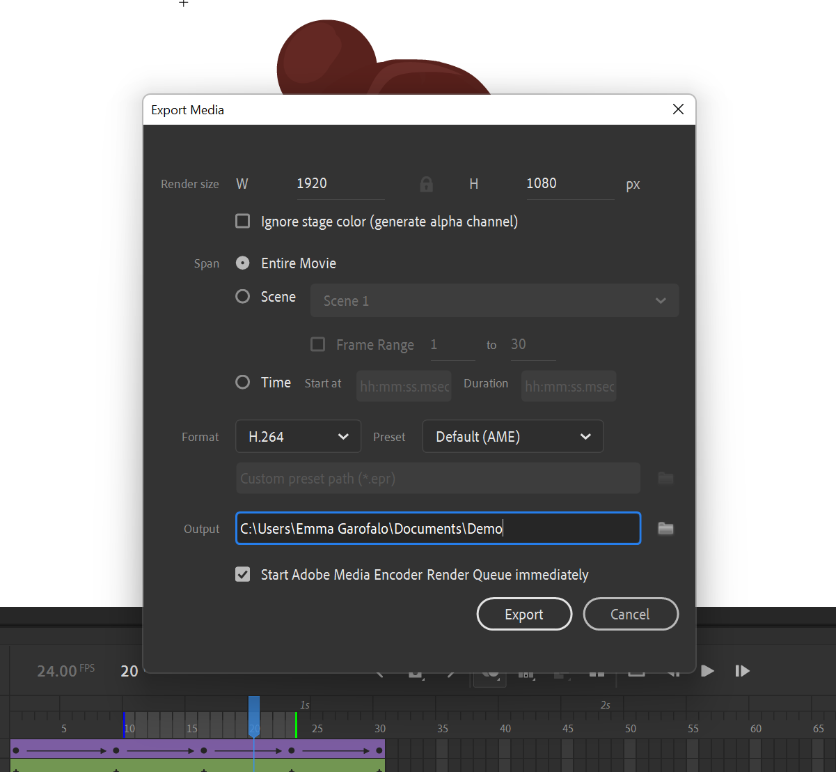The export settings menu in Adobe Animate CC.