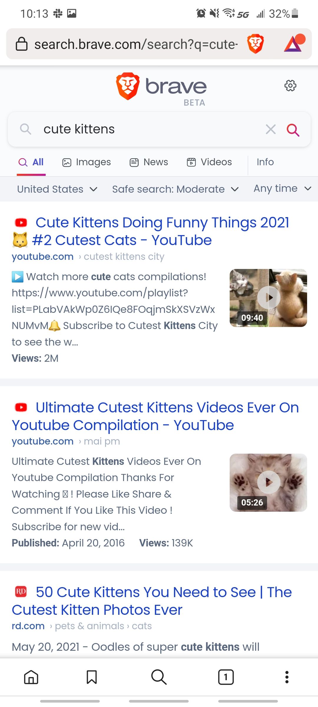 brave browser looking up cute kittens