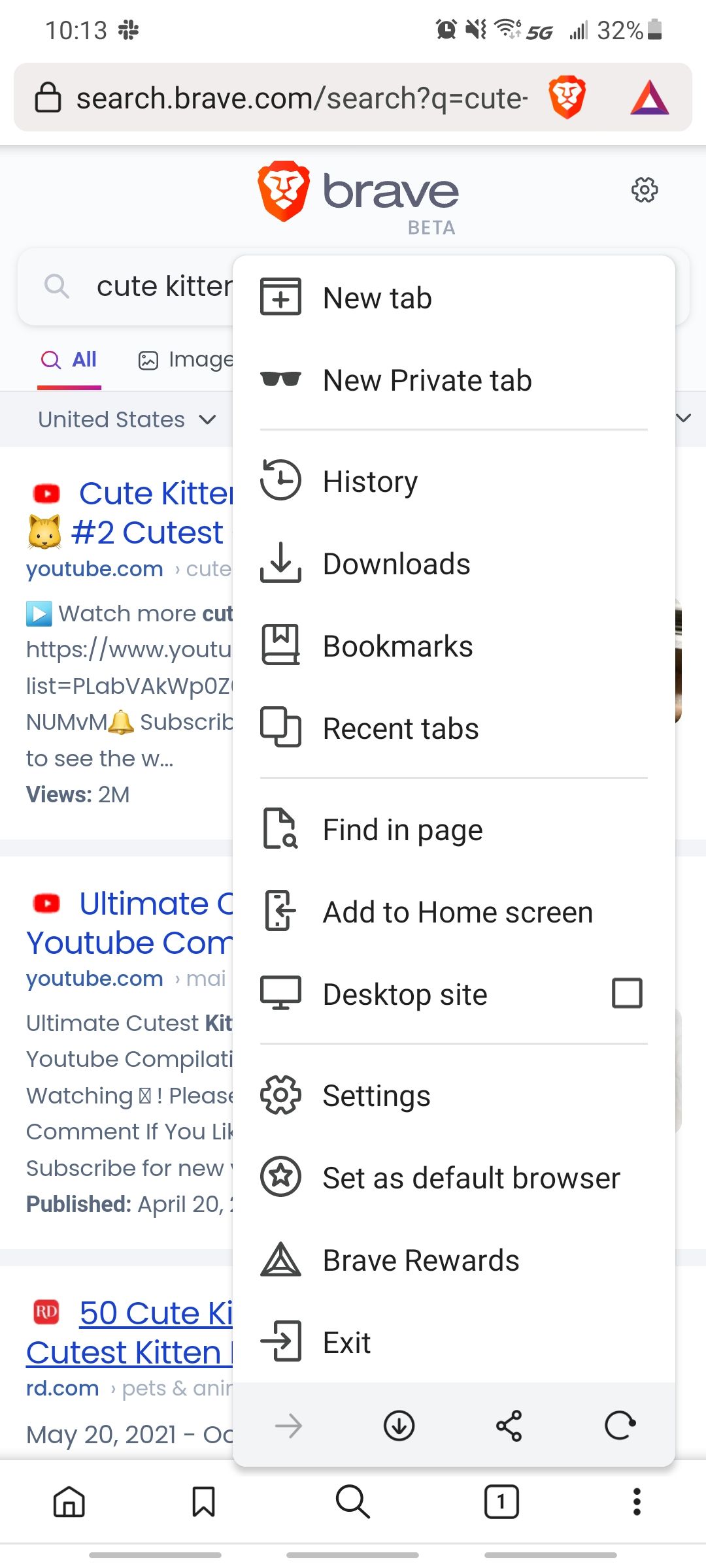 brave browser settings menu