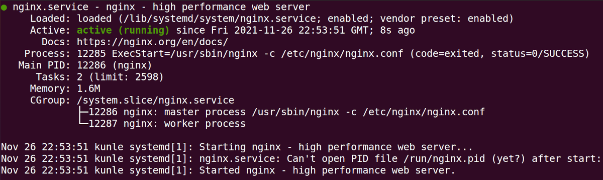 nginx service status output